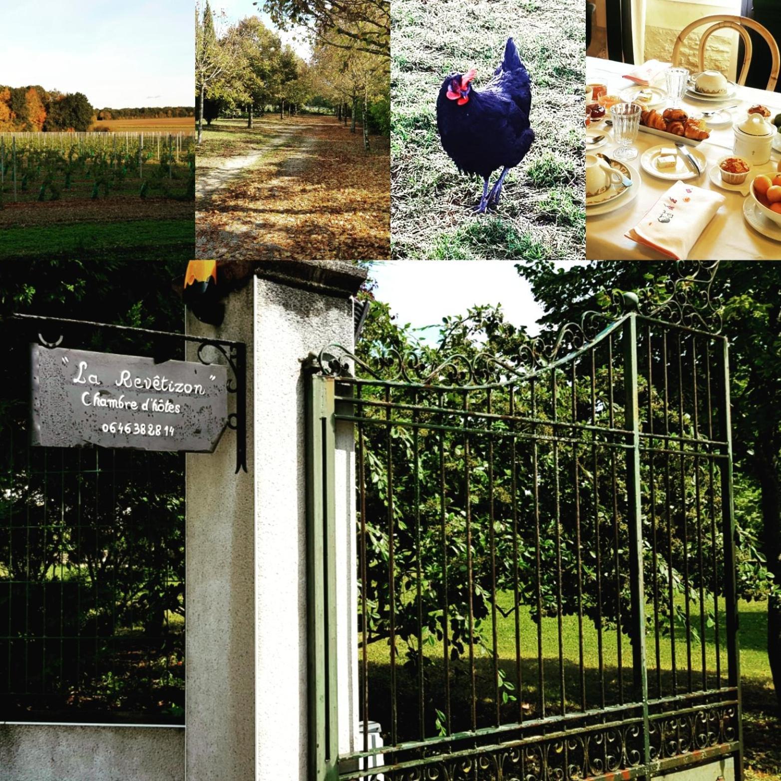 Bed and Breakfast La Revetizon Siecq Zewnętrze zdjęcie